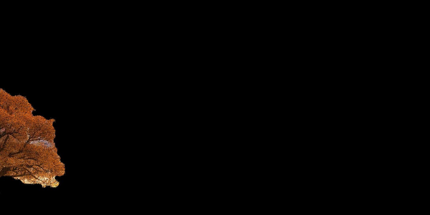 Parallax tree
